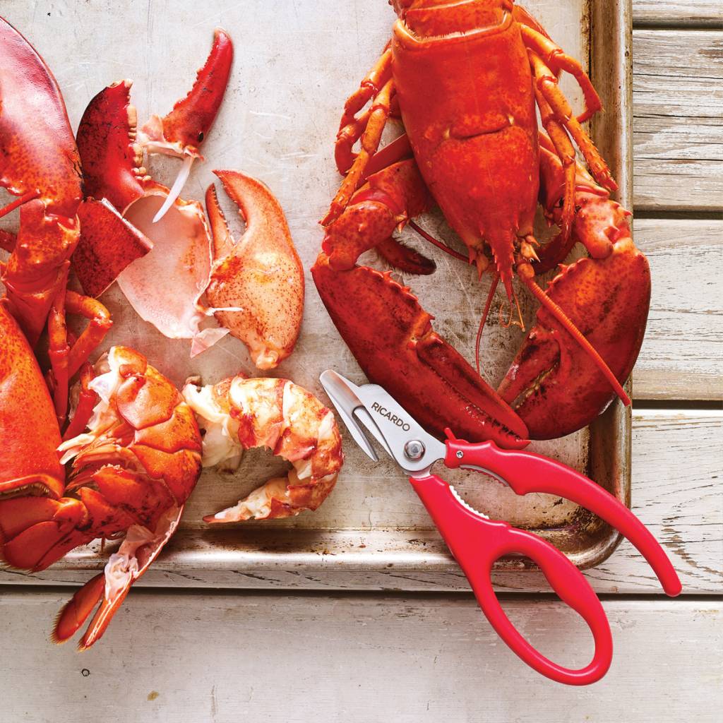 Seafood Scissors – Gifts & Kitchen Accessories gift Montreal Villeray Urban Palate