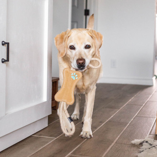 ecoZippy Jute RopeTugz Dog Toy – Gifts & Kitchen Accessories gift Montreal Villeray Urban Palate