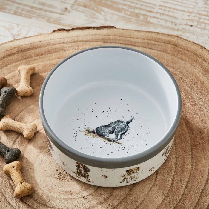 Pet Bowl 6 Inch – Gift Set gift Montreal Villeray Urban Palate