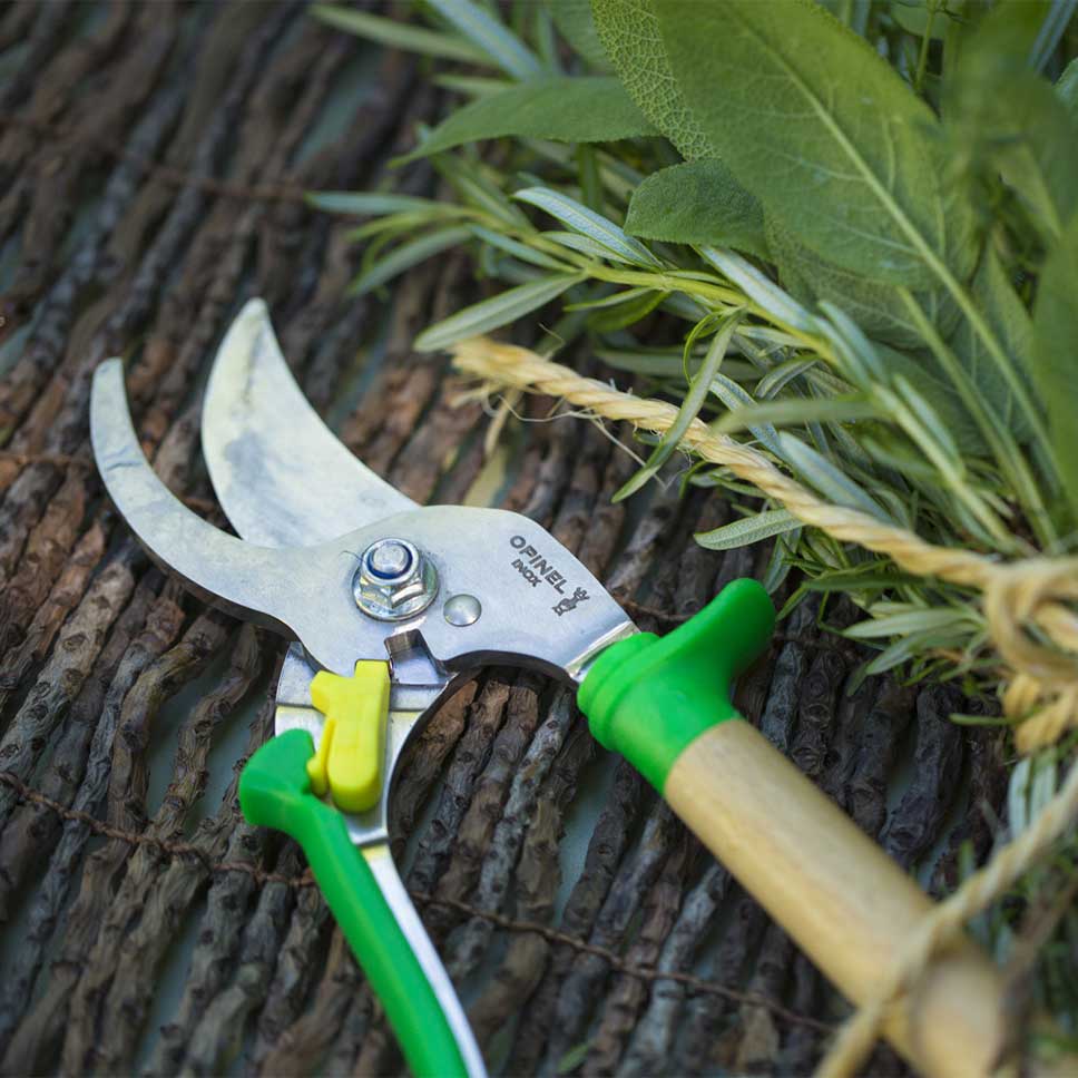Hand Pruner Meadow – Gifts & Kitchen Accessories gift Montreal Villeray Urban Palate