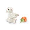 Bunny & Carrot Salt & Pepper Shaker Set