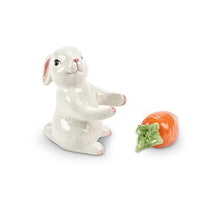 Bunny & Carrot Salt & Pepper Shaker Set