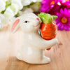 Bunny & Carrot Salt & Pepper Shaker Set
