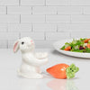 Bunny & Carrot Salt & Pepper Shaker Set