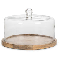 Large Covered Cheese / Cake Dome