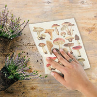 Swedish Sponge Cloth - Mushrooms