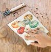 Swedish Sponge Cloth - Pumpkins