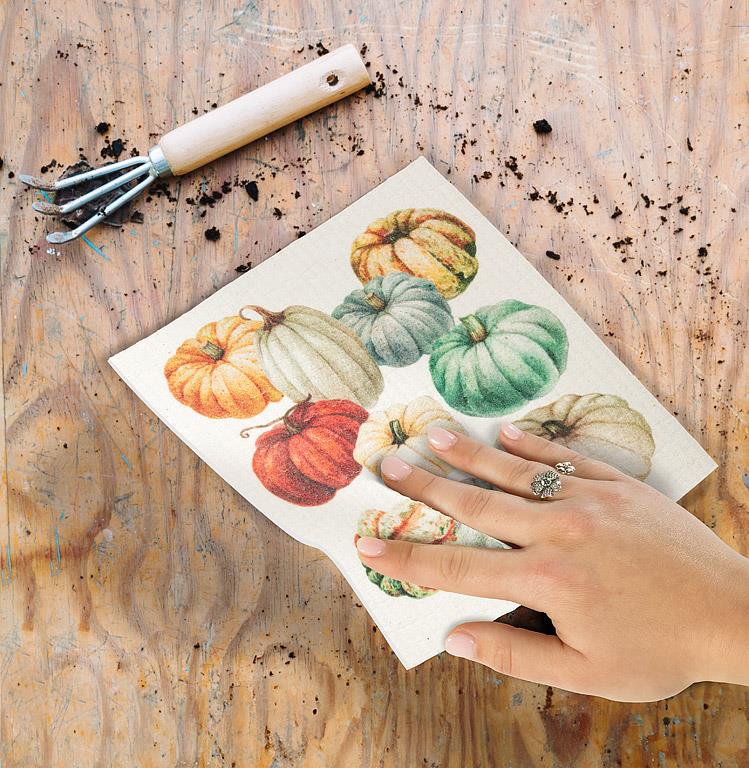 Swedish Sponge Cloth - Pumpkins