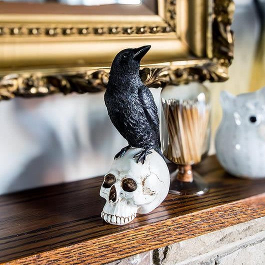 Raven Perched on Skull