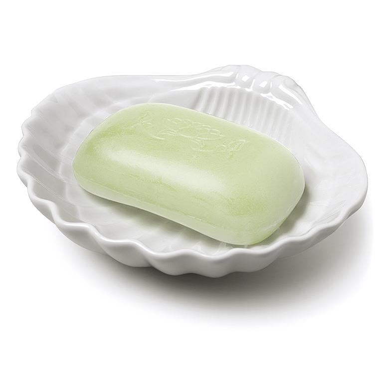 Porte-savon coquillage