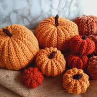Atelier Débutant de Crochet : Mini Citrouille d'Automne