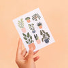 Carte à planter - Plantes d'intérieur