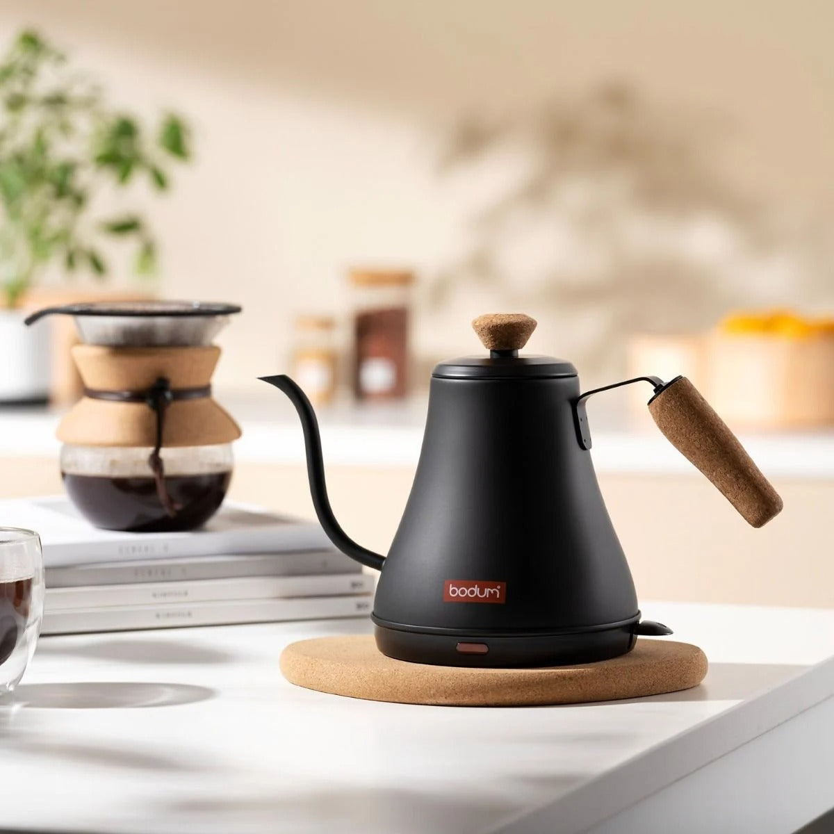 Bouilloire à col de cygne MELIOR 0,8 L / 27 oz