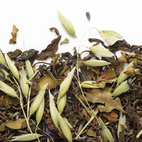Thé glacé Un été à Nilgiri 50g