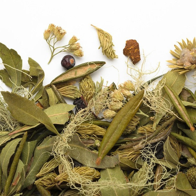 Tisane Taiga Sauvage 20g