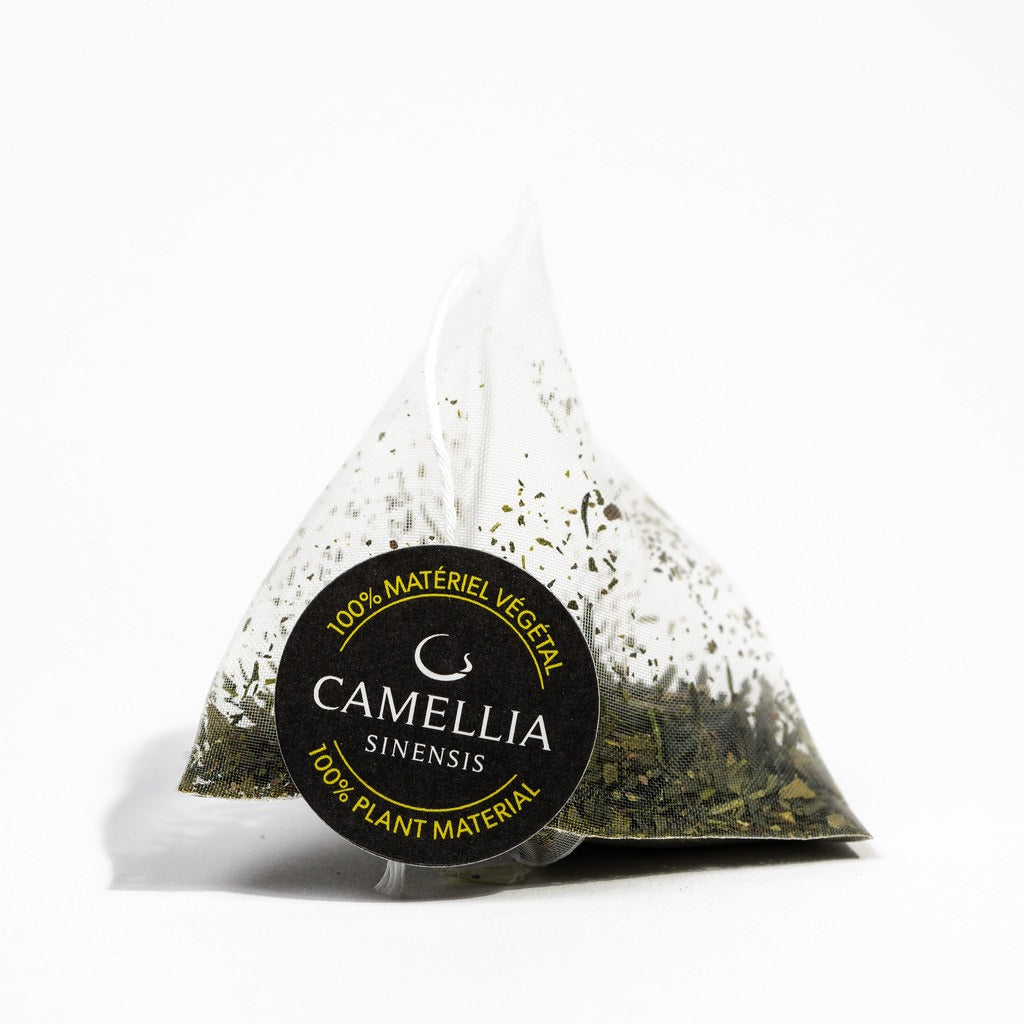 Sencha Nagashima Organic - 12 Teabags