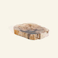 Porte-savon en bois pétrifié