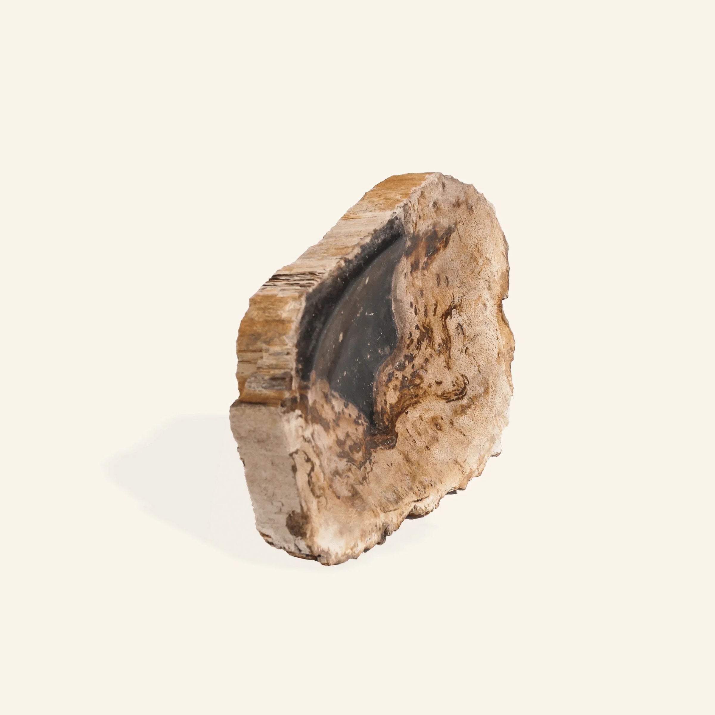 Porte-savon en bois pétrifié