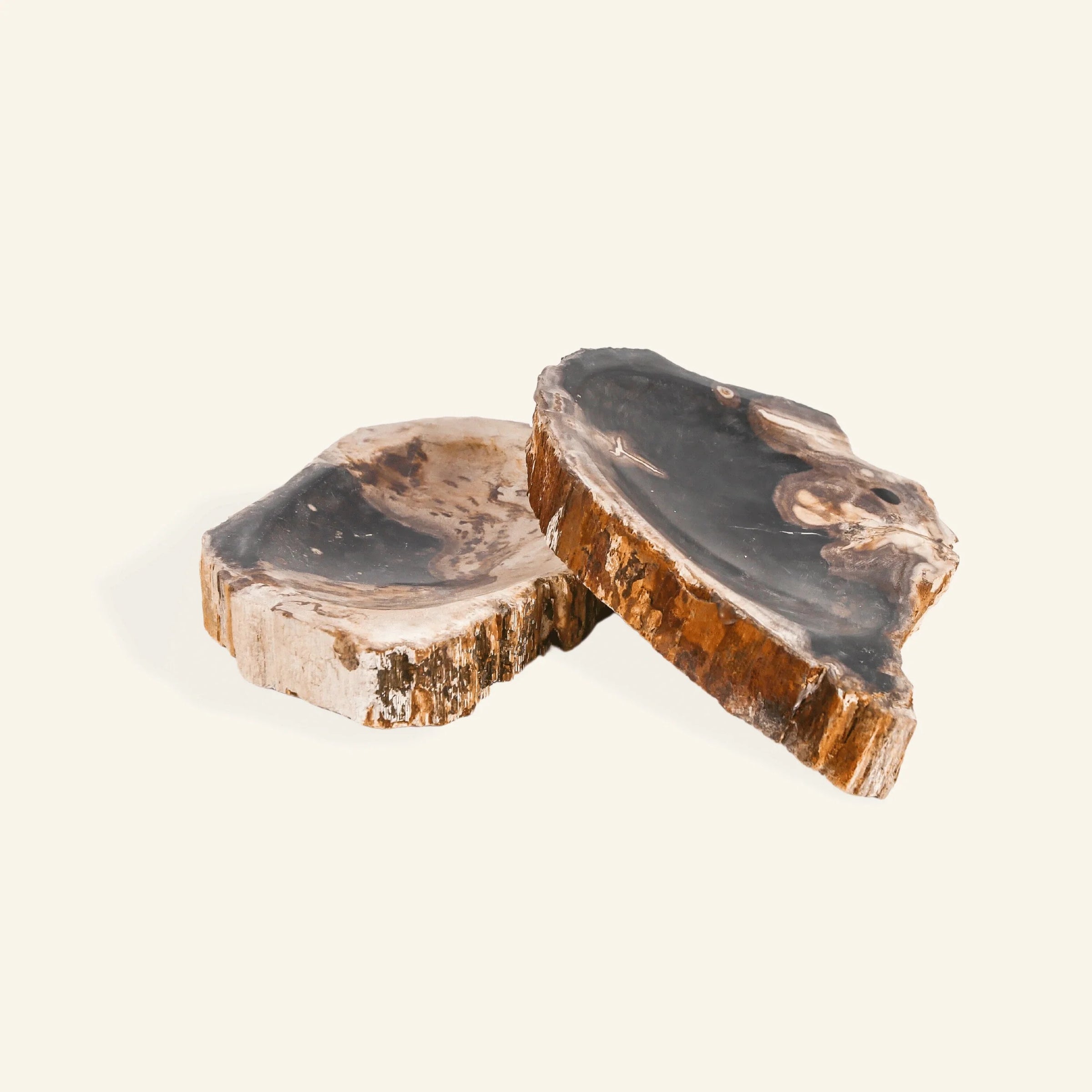 Porte-savon en bois pétrifié