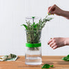 Herb Keeper
