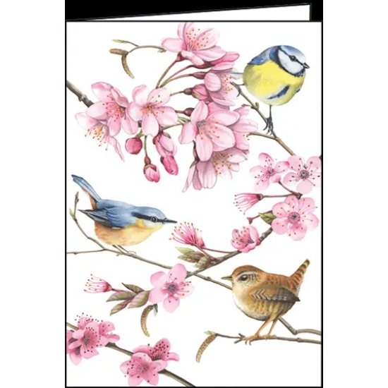 Carte de vœux - Oiseaux 5" x 7"