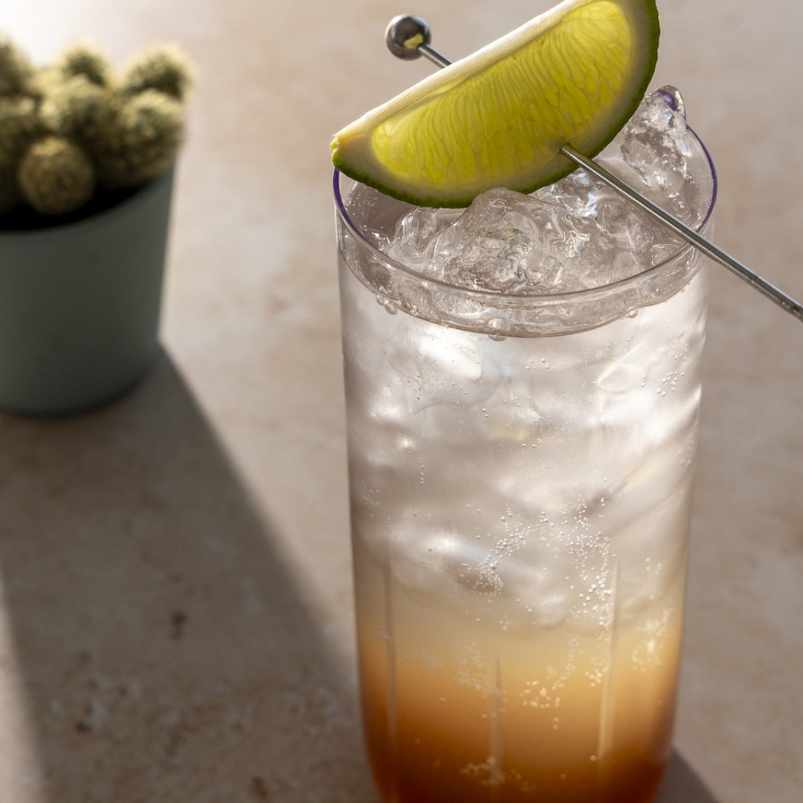 Sirop Tonic Forestier 200ml