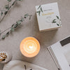 Bougie réutilisable - Eucalipto 11oz