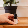Huile parfumée pour diffuseur - Eucalipto 10 ml