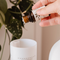 Scented Diffuser Oil - Amalfi 10ml