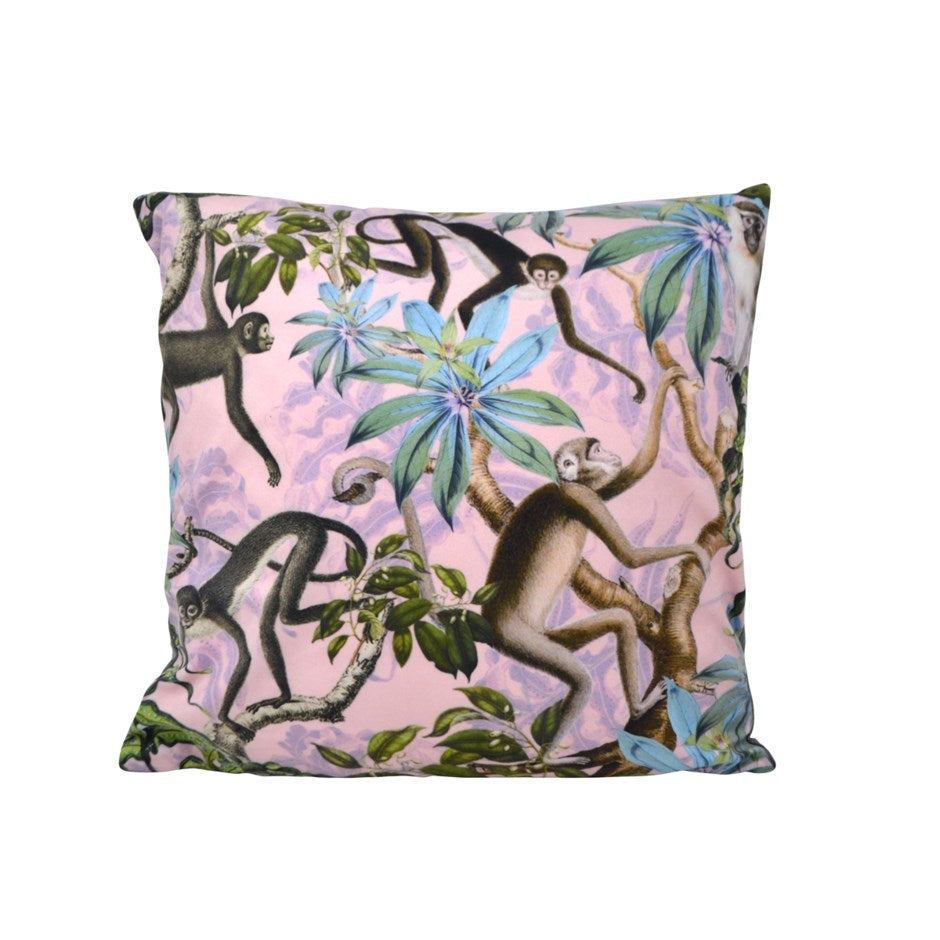 Cushion Monkeys