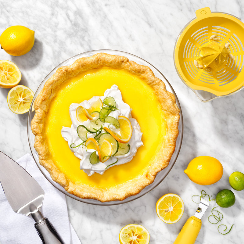 Grand presse-agrumes 2-en-1