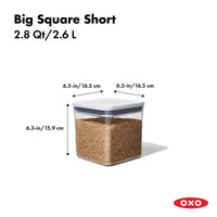 POP Container 2.8Qt / 2.6L