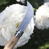 Pruning Grafting Knife N°08