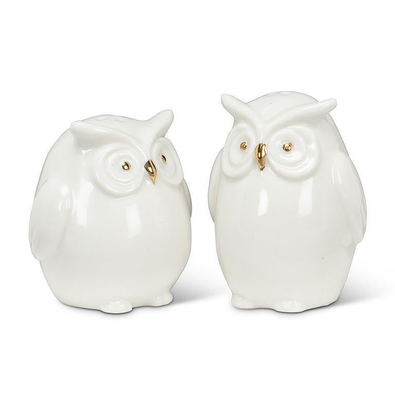 Owl Salt & Pepper Shaker Set