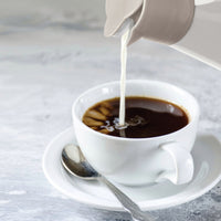 Dripless Dispenser 600ml / 20oz