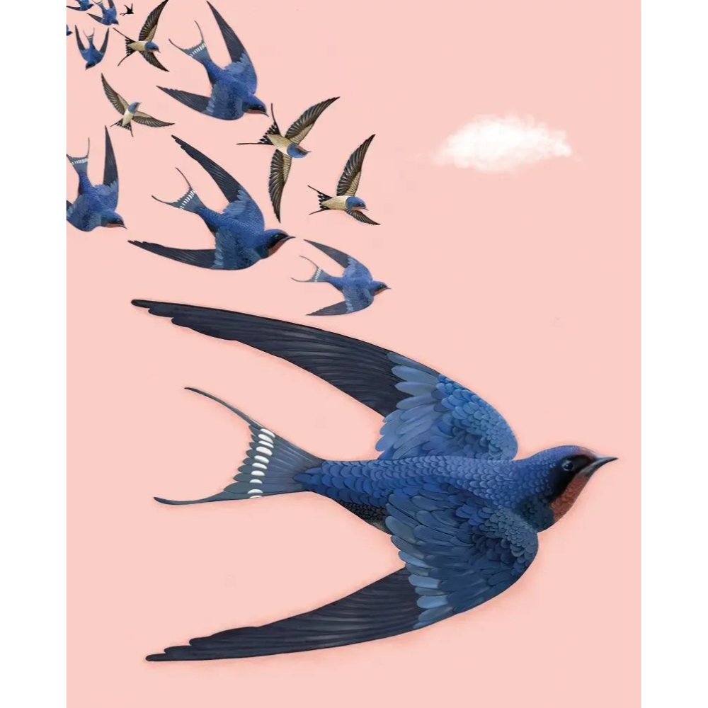 Carte de vœux « Oiseaux » 14 x 18 cm