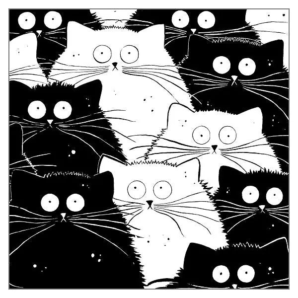 Carte de vœux Chats noirs et blancs 15 x 15 cm