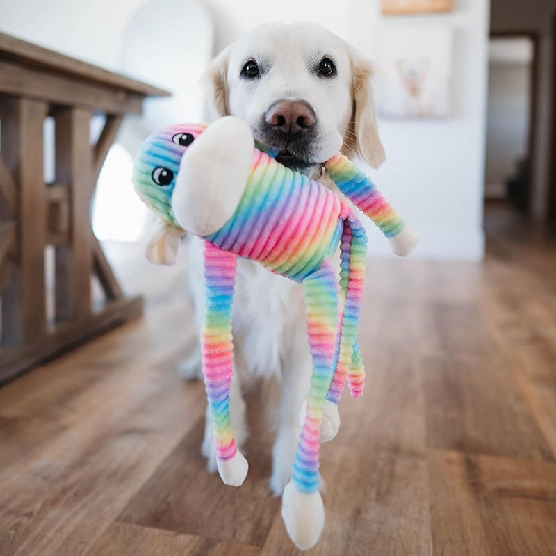 Lot de 2 petits jouets pour chien Spencer the Crinkle Monkey arc-en-ciel et bleu