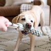 ecoZippy Cotton and Jute Tug Dog Toy