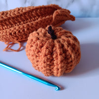 Atelier Débutant de Crochet : Mini Citrouille d'Automne