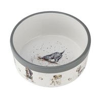 Pet Bowl 6 Inch