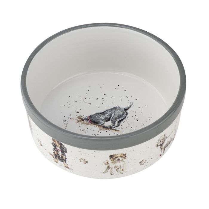 Pet Bowl 6 Inch