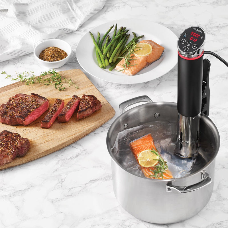 Sous-Vide Precision Cooker (Immersion Circulator)