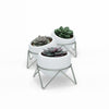 Umbra Potsy Planter, Set of 3