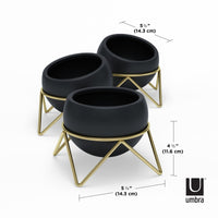 Umbra Potsy Planter, Set of 3