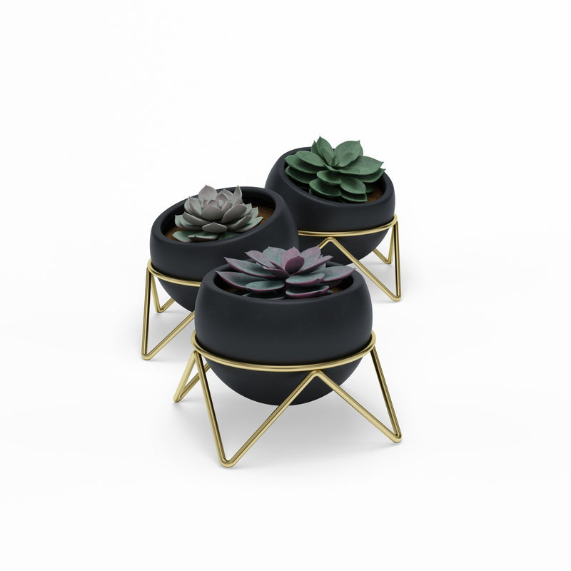 Umbra Potsy Planter, Set of 3